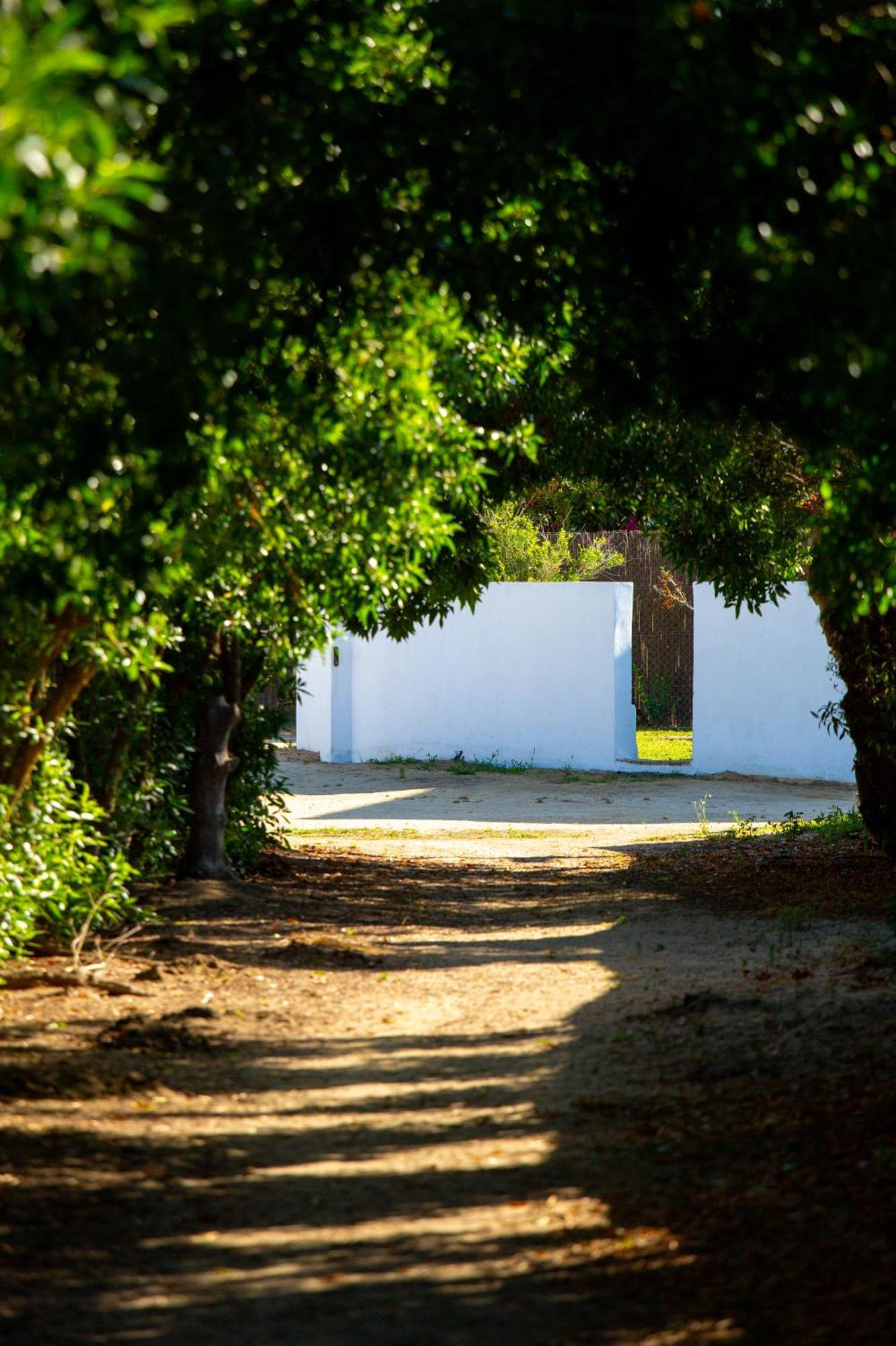 Casara Tres - 2 Dormitorios - Jardin Y Acceso Privado A La Playa Zahora Buitenkant foto